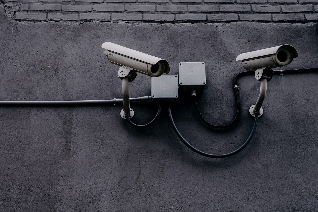 euro digital vigilancia
