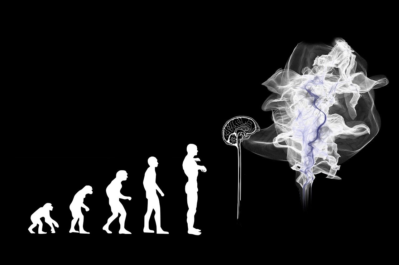 evolution protocolo ap2 google